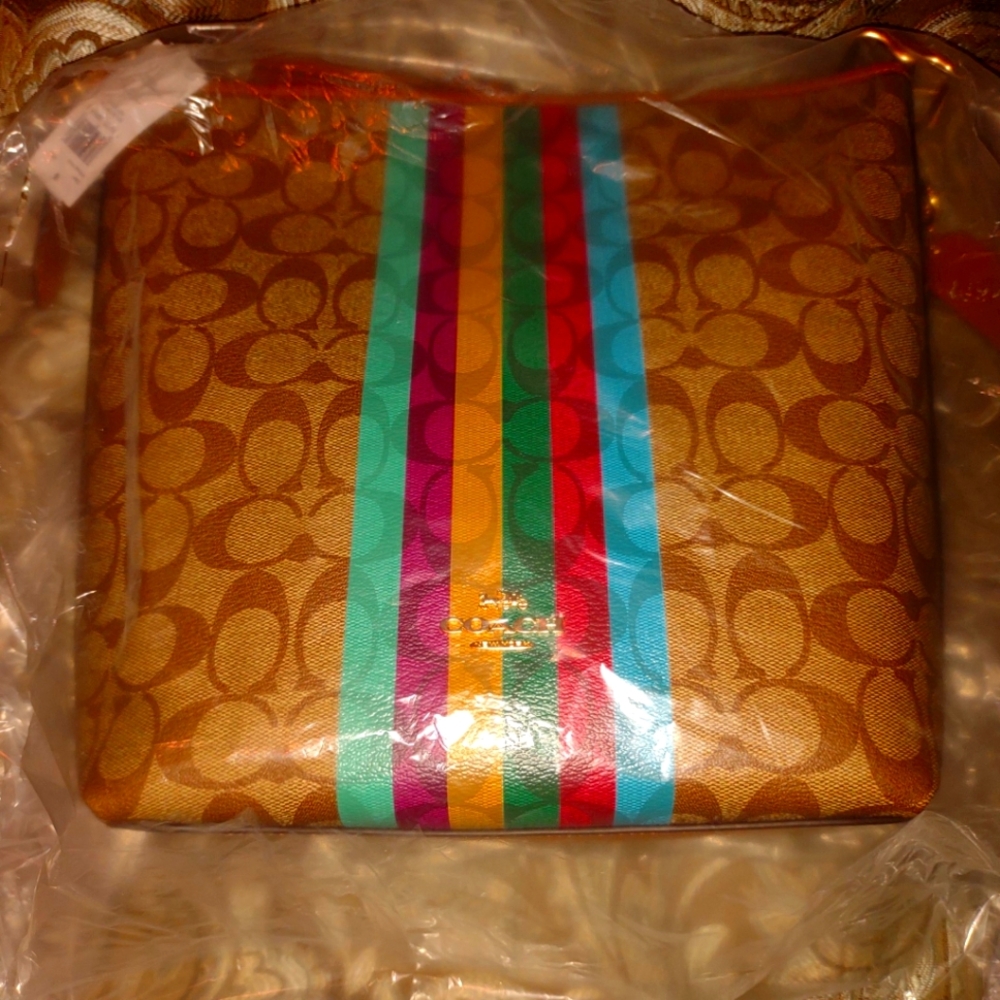 Coach Brown Bag with Colorful Stripes